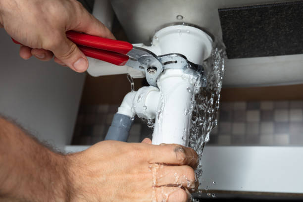 Best Basement water damage restoration  in Windsor Heights, IA