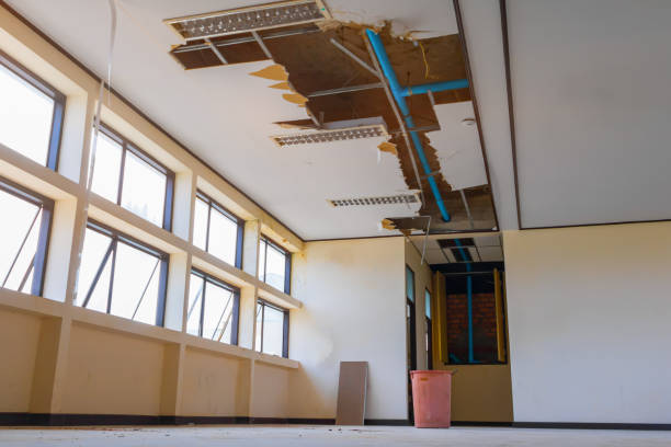 Best Water damage contractors near me  in Windsor Heights, IA