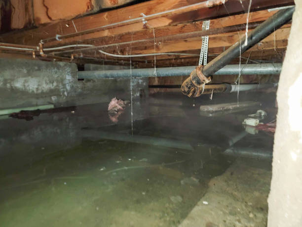 Best Water damage restoration near me  in Windsor Heights, IA