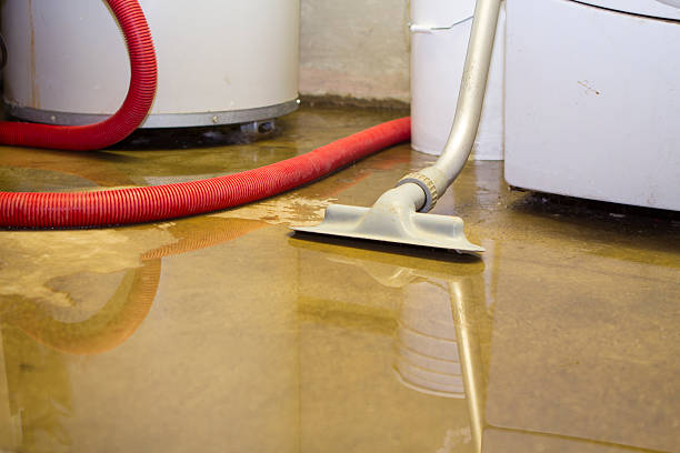 Best 24-hour water damage restoration  in Windsor Heights, IA