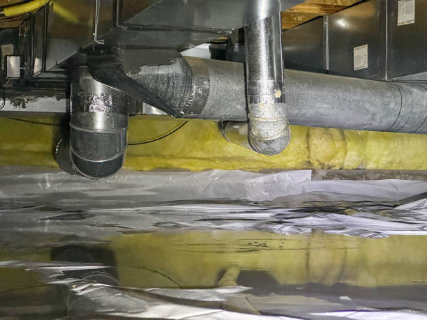 Best Water damage cleanup near me  in Windsor Heights, IA