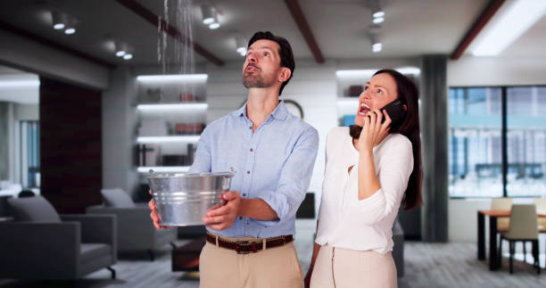 Best Residential water damage restoration  in Windsor Heights, IA