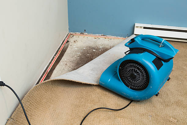 Best Local water damage restoration  in Windsor Heights, IA